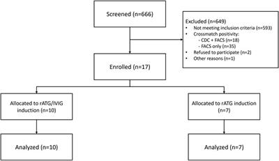 12-Month Outcomes of a Prospective Randomized Trial Investigating Effects of IVIG on Top of rATG Versus rATG Alone in Pre-Sensitized Kidney Transplant Recipients: The INHIBIT Study